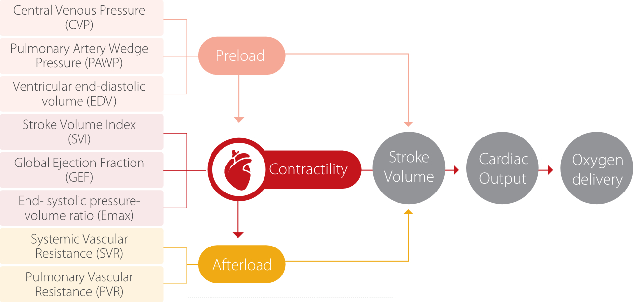 hemosight-fig1-pc