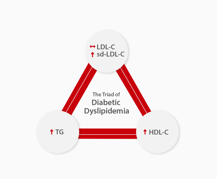 Chembook issue 2 chapter 1 diabetic dyslipidemia things you need to