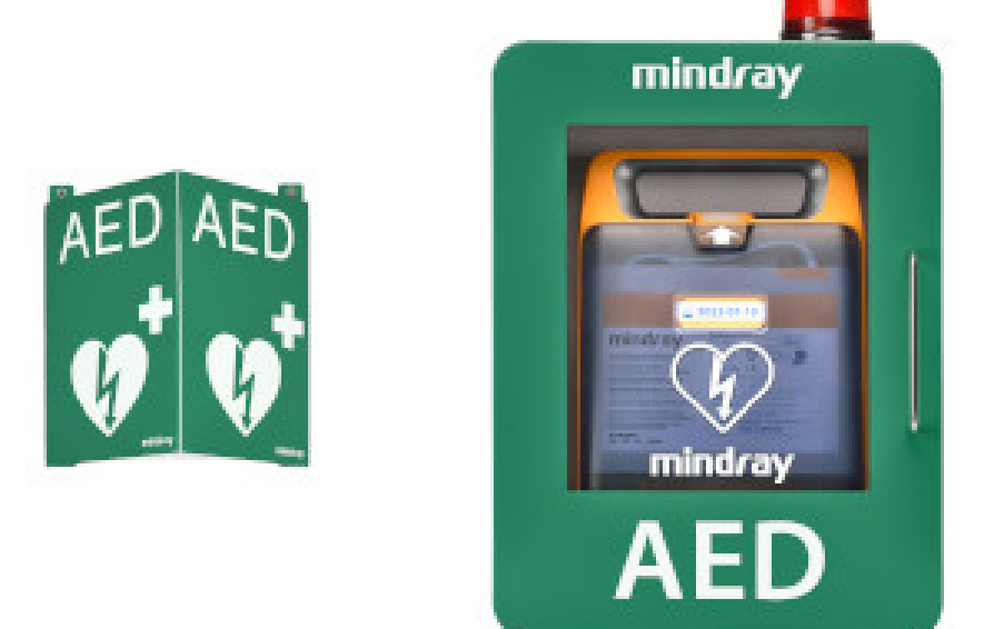 aed1-s1