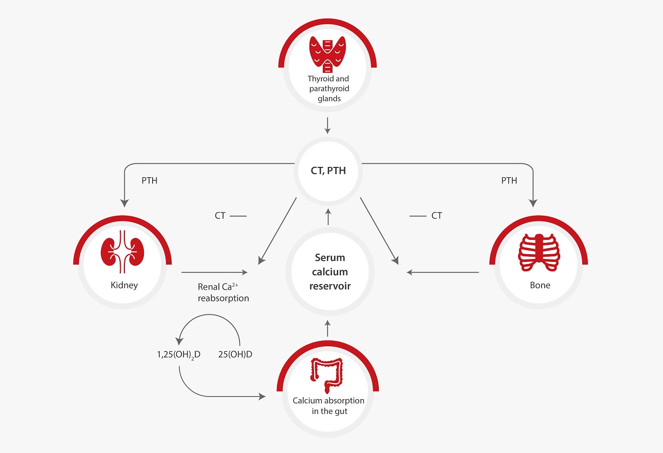 ChemBook issue2 Chapter 3
