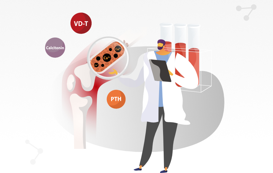 bone-metabolic-assays-kv-pc