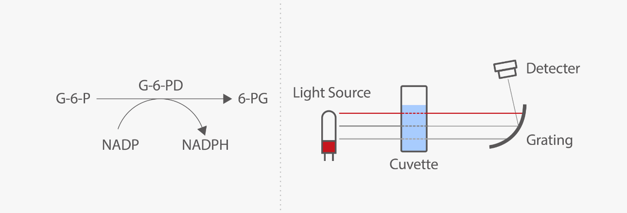 g6pd-test-fig5-pc