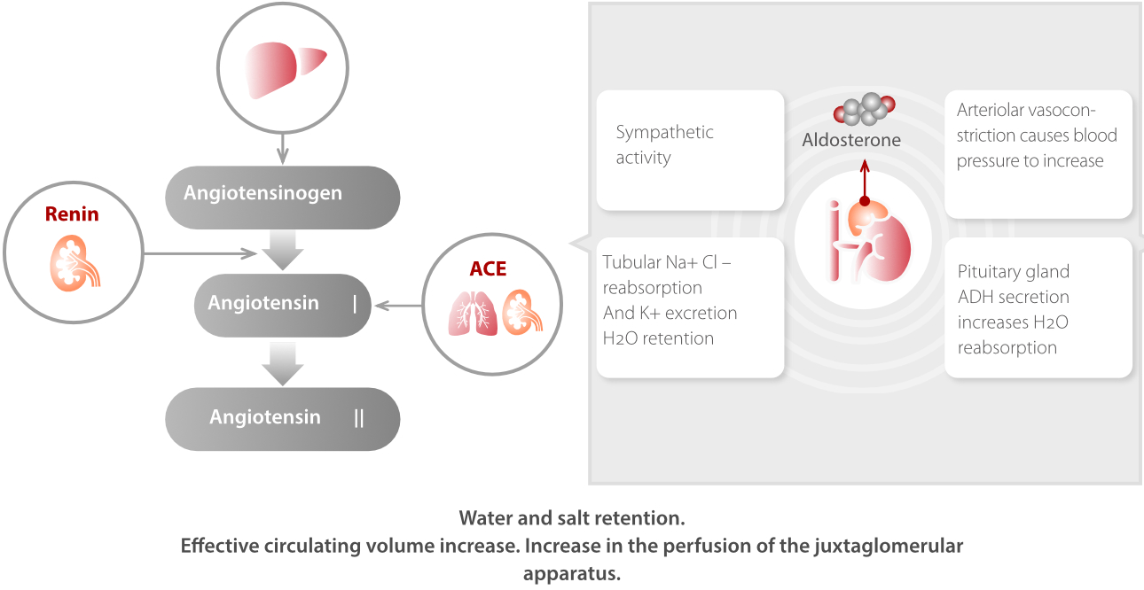 hypertension-check-fig4-pc