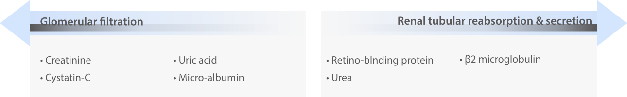 kidney-renal-disease-fig3-pc