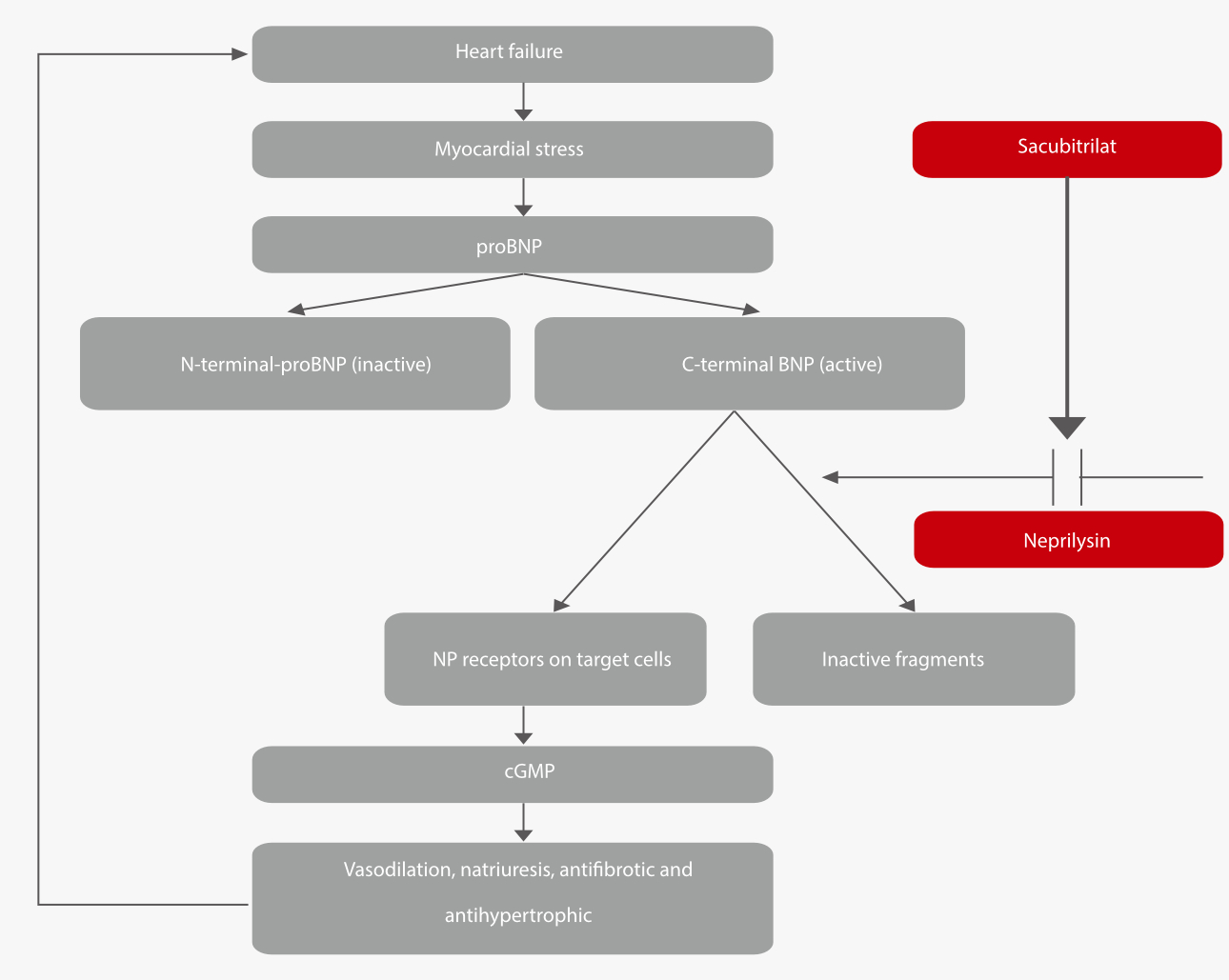 nt-probnp-heart-failure-fig5-pc