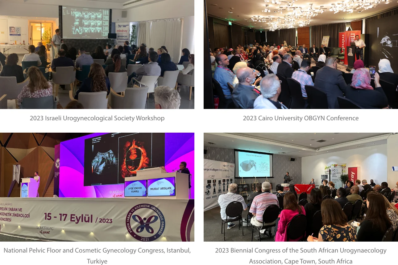 pelvic-floor-dysfunction-fig1-pc