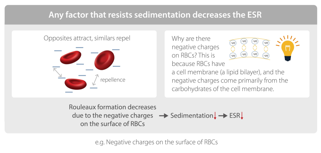 Erythrocyte Sedimentation Rate (ESR): Definition, Normal Range & Test -  Video & Lesson Transcript