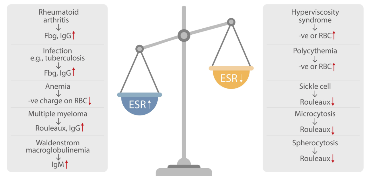 What does ESR really means 2_复制