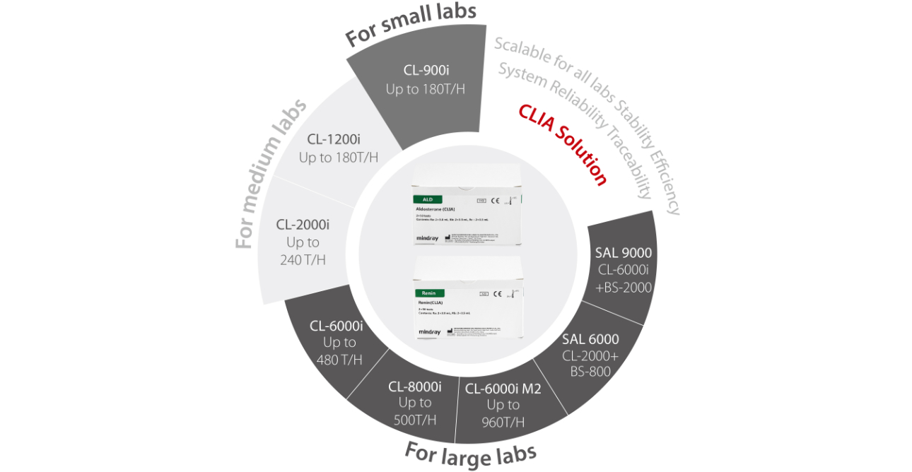 renin-aldosterone-fig4-pc