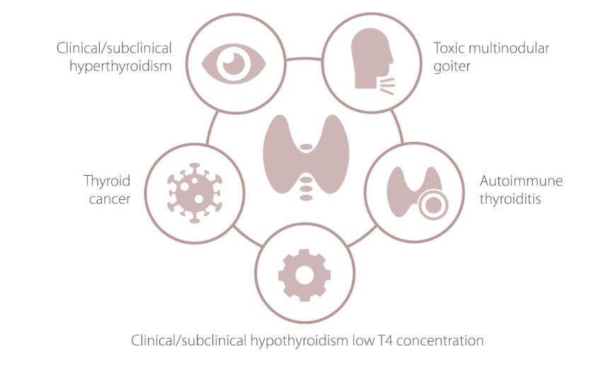 Thyroid evaluation in pregnancy3