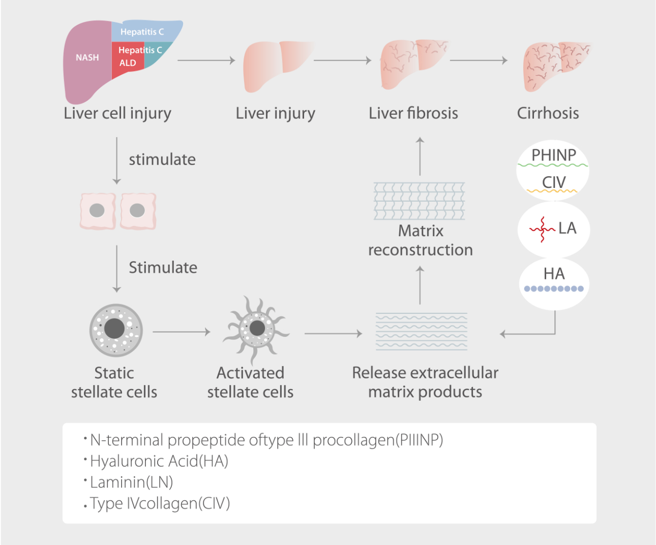 gabapentin for dogs with liver disease