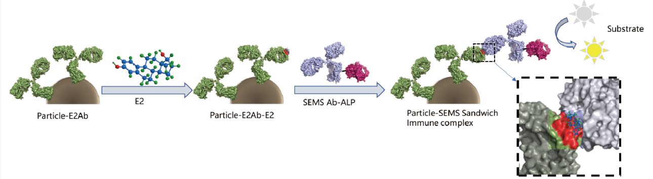 Mass Spectrometry (MS)