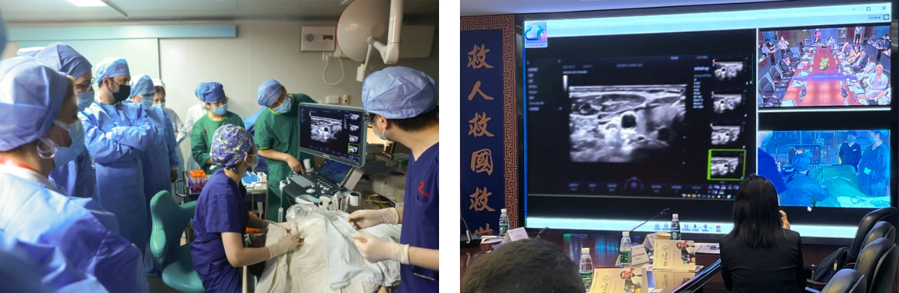 m-elite-2023-fig1-pc