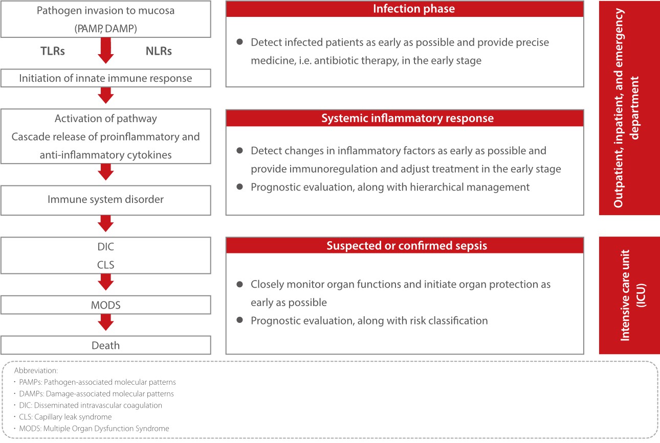 inflammation-solution-ips-fig2-pc