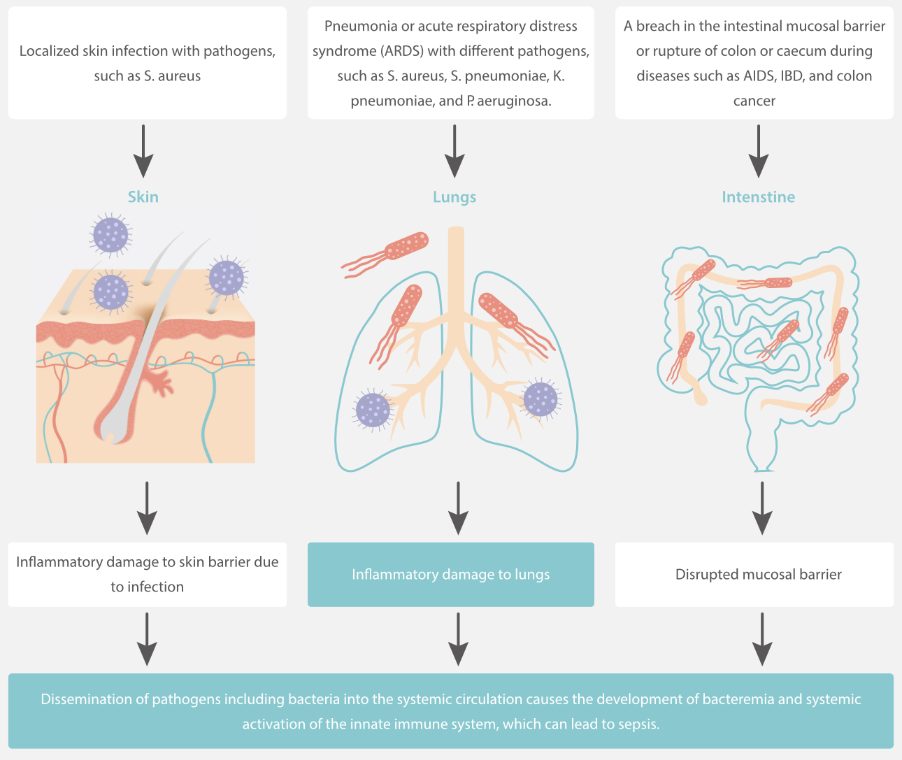 inflammation-solution-ips-fig3-pc-1