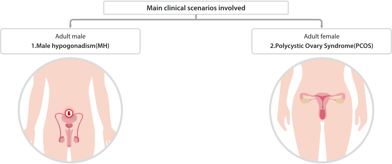 Clinical Application of Testosterone
