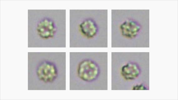 eu-5600-pro-fig2-4-pc