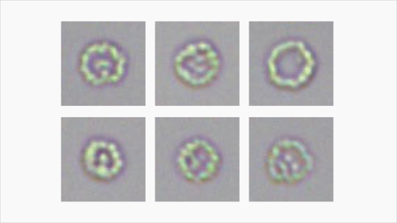 eu-5600-pro-fig2-5-pc