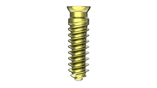 MS Self-tapping Screw Ⅰ (VA)
