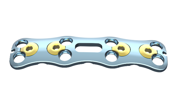 MS Anterior Cervical Plate System