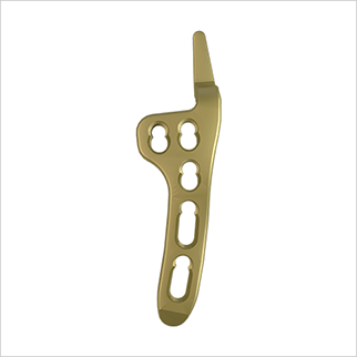 LCP Clavicle Hook Plate