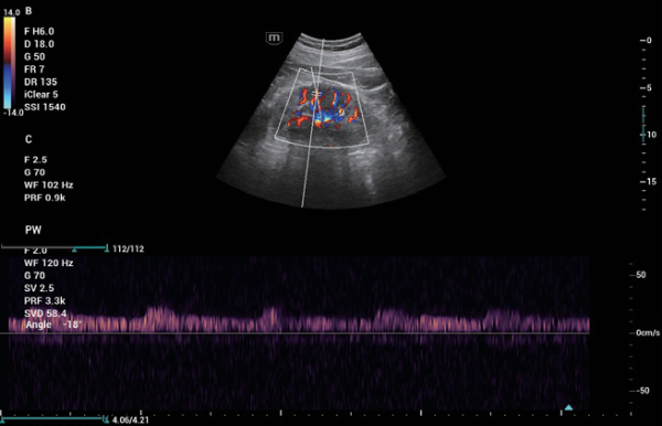 consona-n6-fig5-4