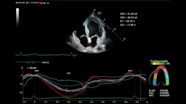 consona-n9-fig3-3-2