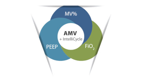 ventilator-insight-2