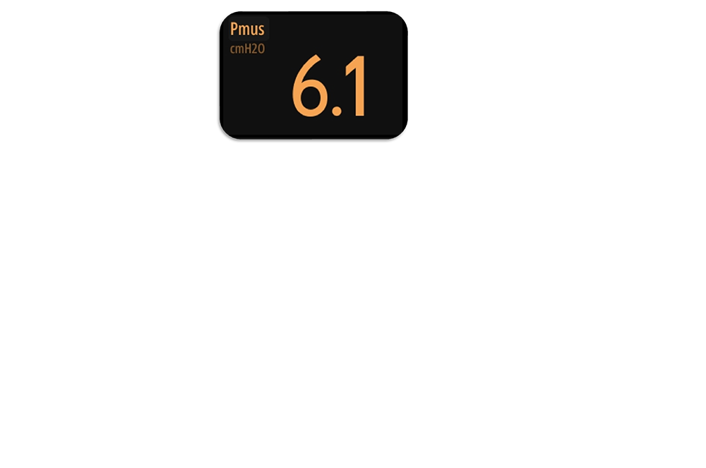 Pmus interface screenshot