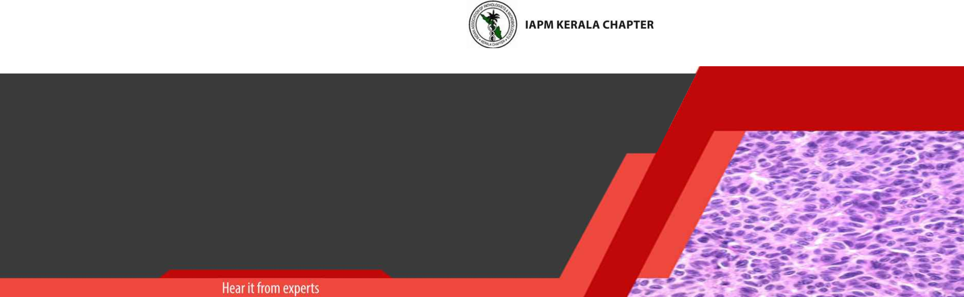 iapm-kerala-chapter-2022-kv-pc