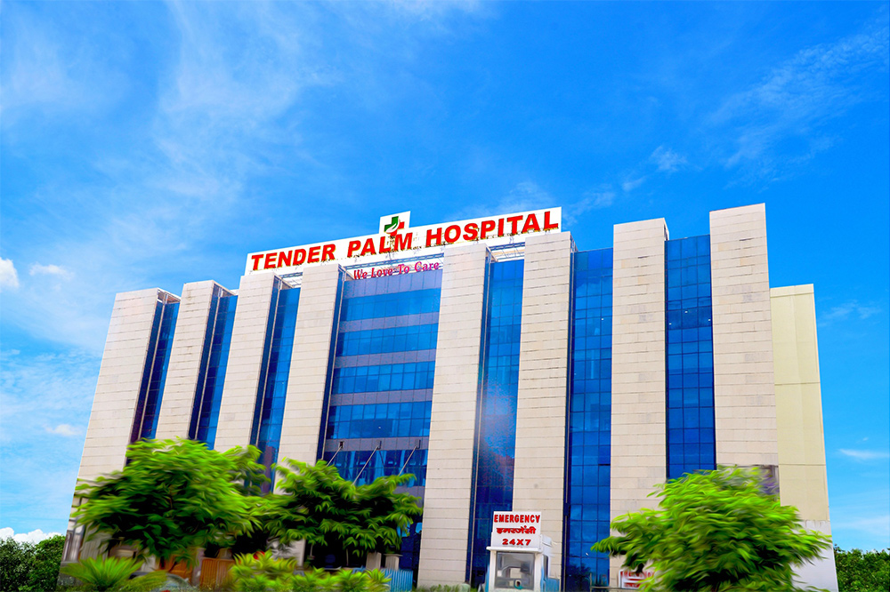 Tender Palm Hospital
