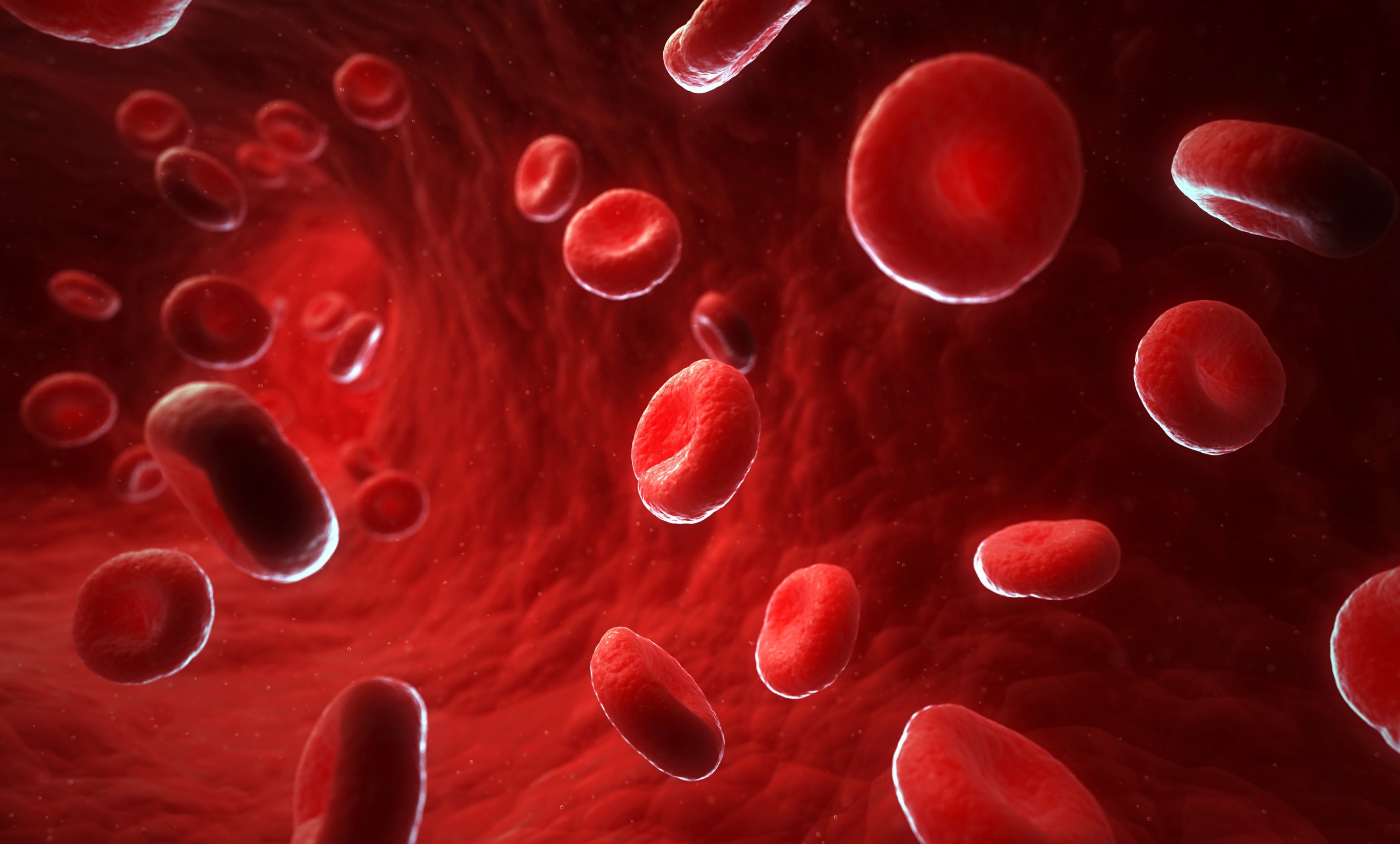 Red blood cells, artwork