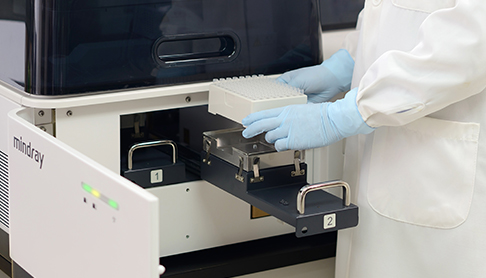 1134cc65e5db4cca93162a4e94717c7a