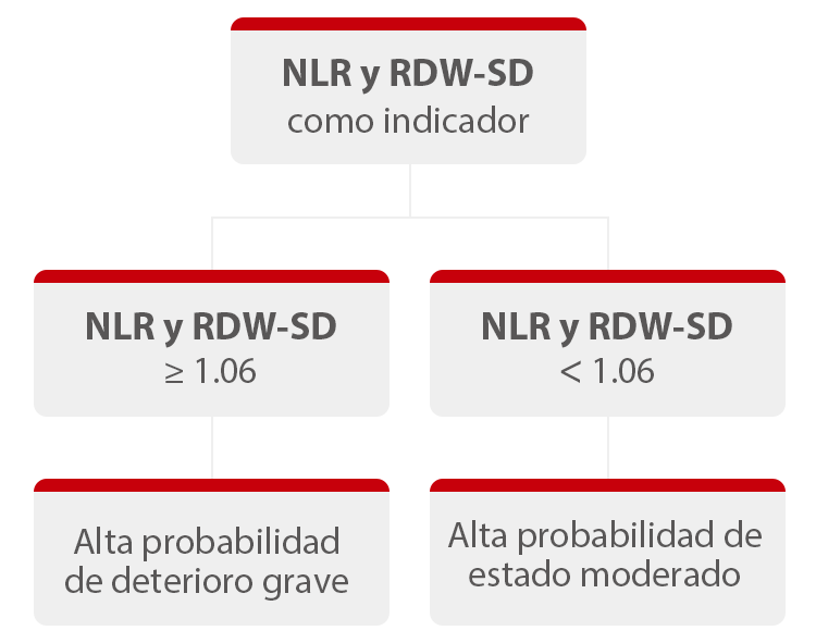 comprador preocupación Confuso que significan las siglas rdw en un analisis de sangre Racional