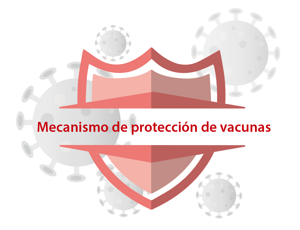 Detección De Inmunoensayo De Anticuerpos Neutralizantes Del Sars Cov 2 Detección De Inmunoensayo De Anticuerpos Neutralizantes Del Sars Cov 2