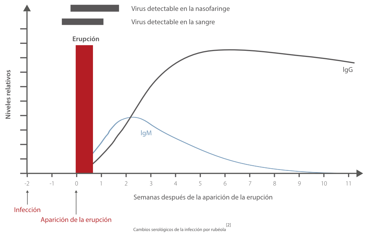 rubella-fig3-pc-es-la