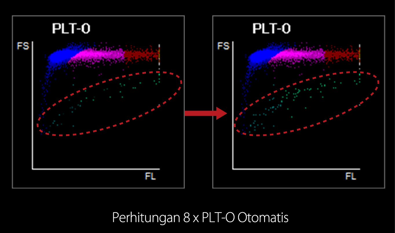 Plt 3 Plt 3