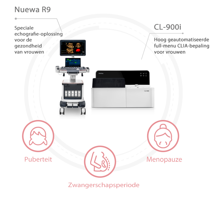 pc13-s8-nl@web