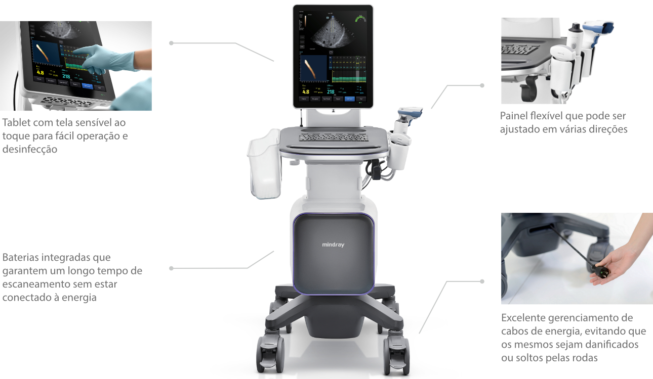 hepatus-series-br-fig9-pc