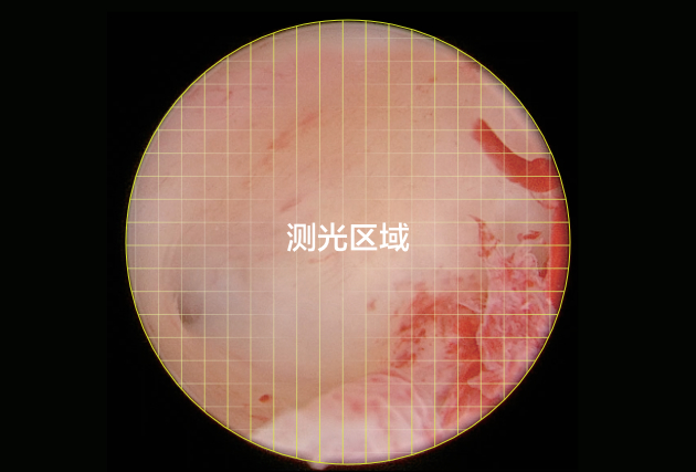 自动场景识别：小镜种场景