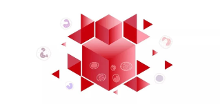 Mindray New SF Cube Technology (I) - Mindray