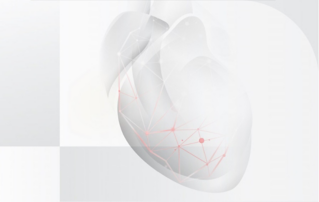 Mindray Expands Its Cardiac Biomarker Portfolio with Cutting-Edge hs-cTnI and NT-proBNP Assays, Empowering Enhanced Cardiovascular Diseases Care 