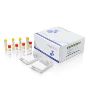 ID&AST Kit