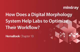 HemaBook Capítulo 10: ¿Cómo ayuda un sistema de morfología digital a optimizar el flujo de trabajo de los laboratorios?