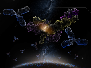 心灵捕手： 一场聚焦微观世界的追逐之战