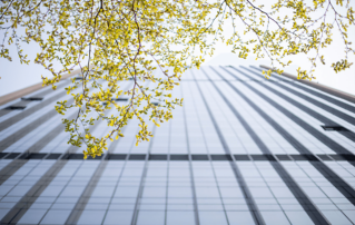 出分了！迈瑞医疗MSCI ESG评级跃升至AA级