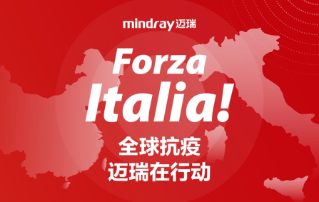 意大利，加油！Forza Italia!